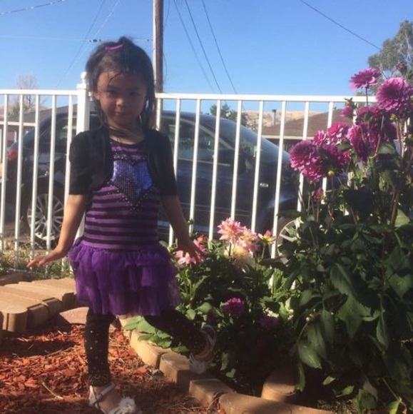 Meet your Posher, Lanthanh - Picture 1 of 1